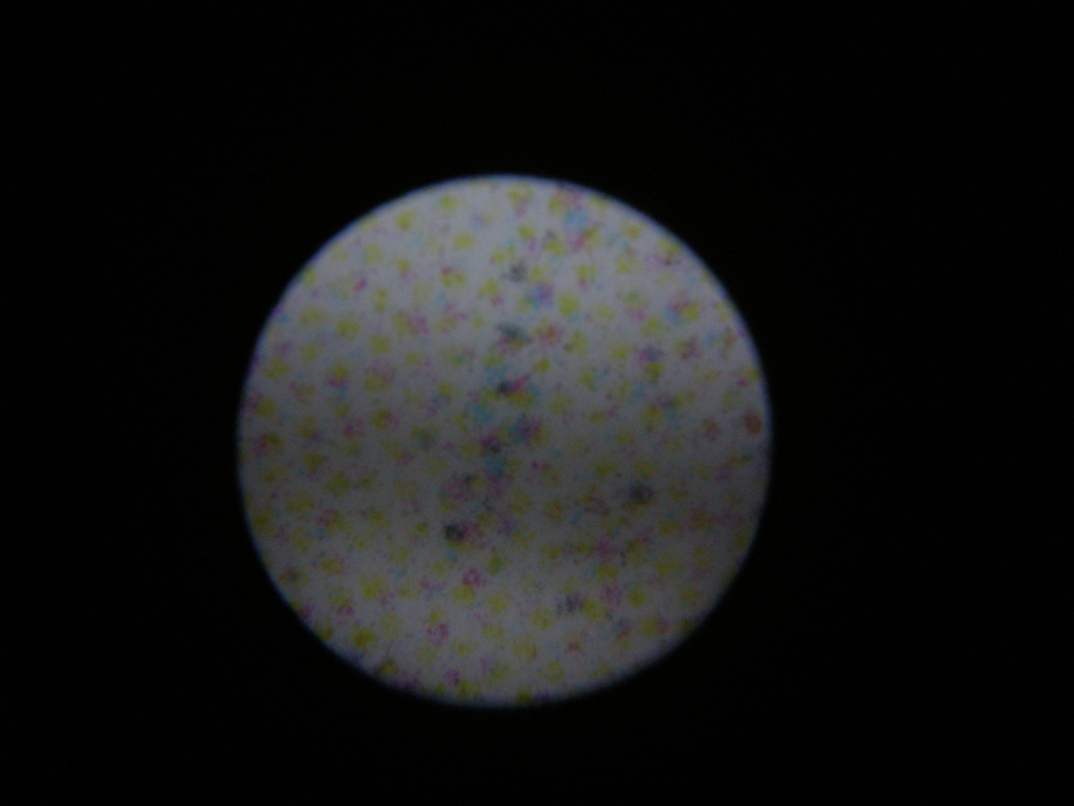 part of the 150μm text; it's just a very faint few uncorrelated black dots in a sea of yellow