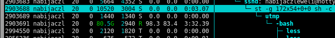htop screenshot, bash with 80.5G resident set