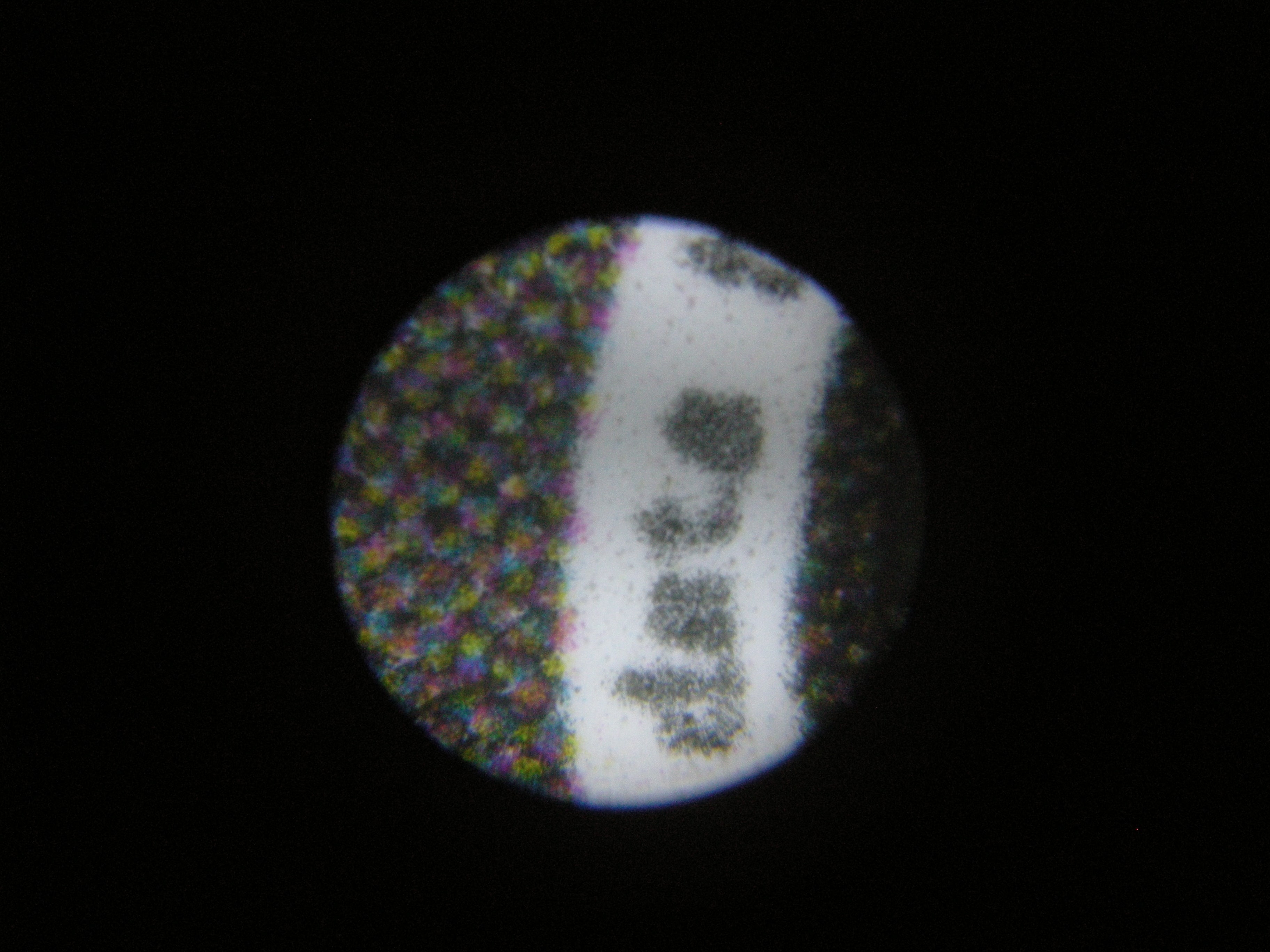 part of the 200μm part above, you can make out about 4 dots in that space