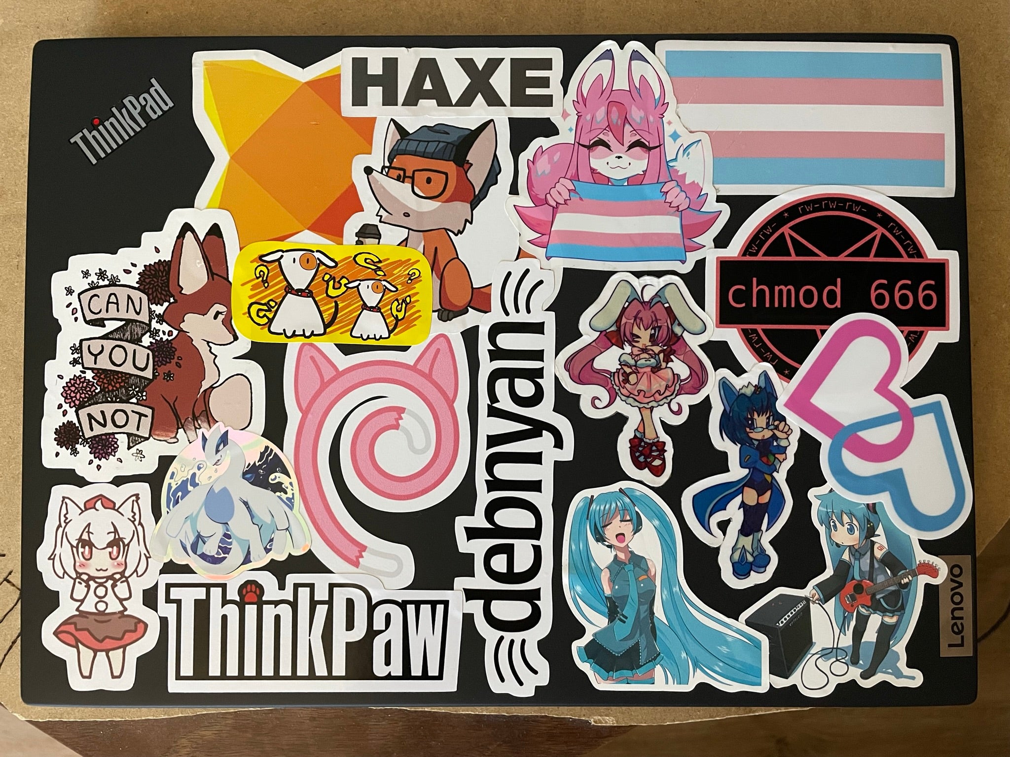 a Thinkpad covered in stickers, depicting as follows: Haxe logo, a hipster fox, trans pride flag, Nazuna holding a trans pride flag, a 'chmod 666' command in front of a pentagram, a fox with the text "can you not", two dogs with many question marks surrounding them, lugia, Rabi-en-Rose, Windows2000-tan, 2x Hatsune Miku, Momiji Inubashiri, the Debian logo parodied with cat ears as "Debnyan", the thinkpad logo parodied as "thinkpaw", and the casio loopy logo