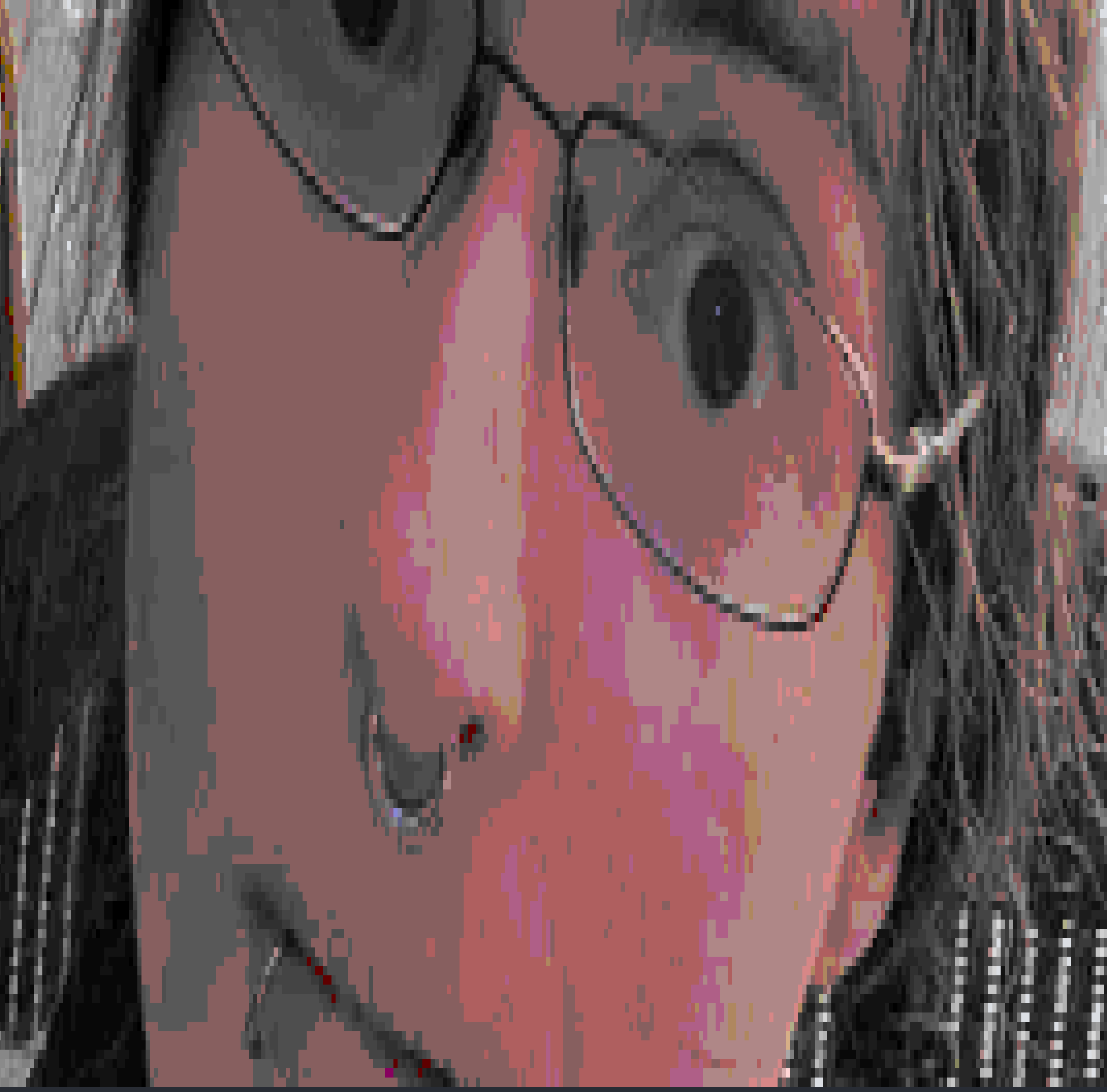 a crop of my face, in whatever the color depth terminal characters allow